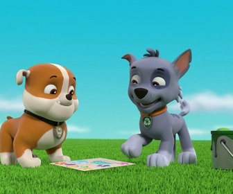 Paw Patrol, la Pat'Patrouille - L'anniversaire d'Alex