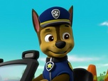 Paw Patrol, la Pat'Patrouille Paw Patrol, la Pat'Patrouille