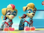 Paw Patrol, la Pat'Patrouille Paw Patrol, la Pat'Patrouille