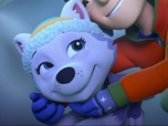Paw Patrol, la Pat'Patrouille Paw Patrol, la Pat'Patrouille