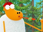 Karaté Mouton