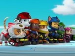 Paw Patrol, la Pat'Patrouille