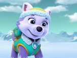 Paw Patrol, la Pat'Patrouille