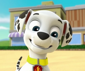 Paw Patrol, la Pat'Patrouille - S03 E35 - Le jouet de l'espace