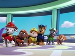 Paw Patrol, la Pat'Patrouille Paw Patrol, la Pat'Patrouille