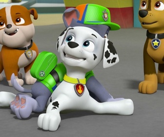 Paw Patrol, la Pat'Patrouille - S05 E06 - La Pat' Patrouille des Mers sauve une baleine