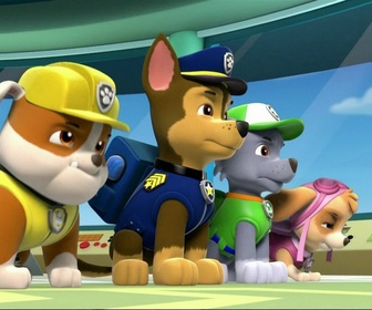 Paw Patrol, la Pat'Patrouille - Des vaches et des cow-boys