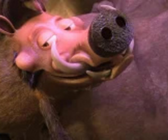 Les as de la jungle à la rescousse - 25/01/2026