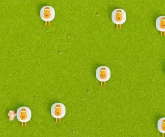 Karaté Mouton - Cherche chien de berger