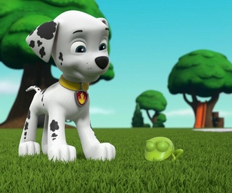Paw Patrol, la Pat'Patrouille - La course de grenouilles