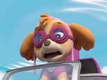 Paw Patrol, la Pat'Patrouille