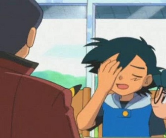 Pokémon - Réunion de famille