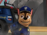 Paw Patrol, la Pat'Patrouille