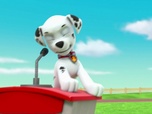 Paw Patrol, la Pat'Patrouille
