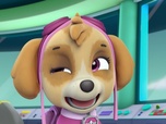 Paw Patrol, la Pat'Patrouille Paw Patrol, la Pat'Patrouille