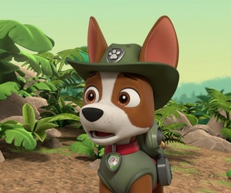 Paw Patrol, la Pat'Patrouille - La peluche du Géant-panzé
