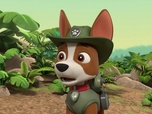 Paw Patrol, la Pat'Patrouille Paw Patrol, la Pat'Patrouille