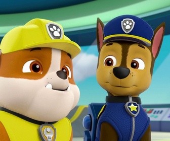Paw Patrol, la Pat'Patrouille - Le cochon surfeur
