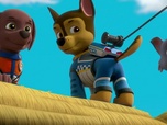 Paw Patrol, la Pat'Patrouille