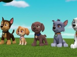 Paw Patrol, la Pat'Patrouille