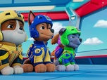 Paw Patrol, la Pat'Patrouille