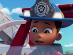 Paw Patrol, la Pat'Patrouille