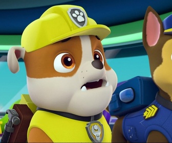 Paw Patrol, la Pat'Patrouille - Atchoum !