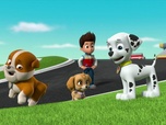 Paw Patrol, la Pat'Patrouille