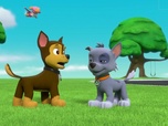 Paw Patrol, la Pat'Patrouille