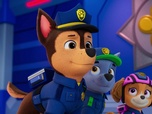 Paw Patrol, la Pat'Patrouille