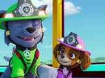 Paw Patrol, la Pat'Patrouille