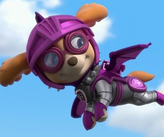 Paw Patrol, la Pat'Patrouille - Mission chevaliers : Les bébés dragons