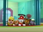 Paw Patrol, la Pat'Patrouille