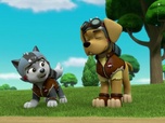 Paw Patrol, la Pat'Patrouille Paw Patrol, la Pat'Patrouille