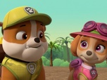 Paw Patrol, la Pat'Patrouille