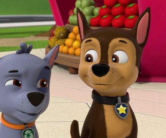 Paw Patrol, la Pat'Patrouille - Mission Tout-Terrain : Les véhicules ont disparu !