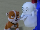 Paw Patrol, la Pat'Patrouille