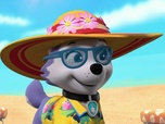Paw Patrol, la Pat'Patrouille