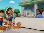 Paw Patrol, la Pat'Patrouille