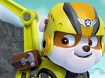 Paw Patrol, la Pat'Patrouille