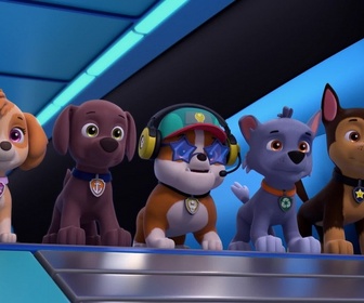 Paw Patrol, la Pat'Patrouille - La soirée cinéma