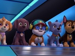 Paw Patrol, la Pat'Patrouille