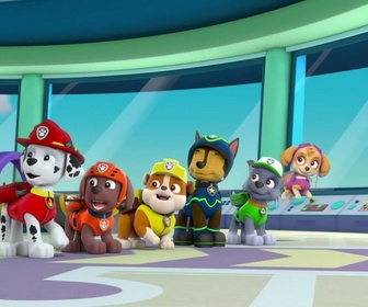 Paw Patrol, la Pat'Patrouille - Opération : renflouage
