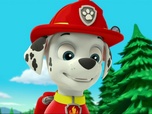 Paw Patrol, la Pat'Patrouille Paw Patrol, la Pat'Patrouille