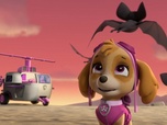 Paw Patrol, la Pat'Patrouille