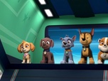 Paw Patrol, la Pat'Patrouille