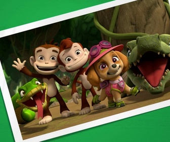Paw Patrol, la Pat'Patrouille - Attention, boules puantes !