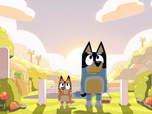 Bluey Bluey