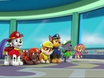 Paw Patrol, la Pat'Patrouille