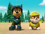 Paw Patrol, la Pat'Patrouille